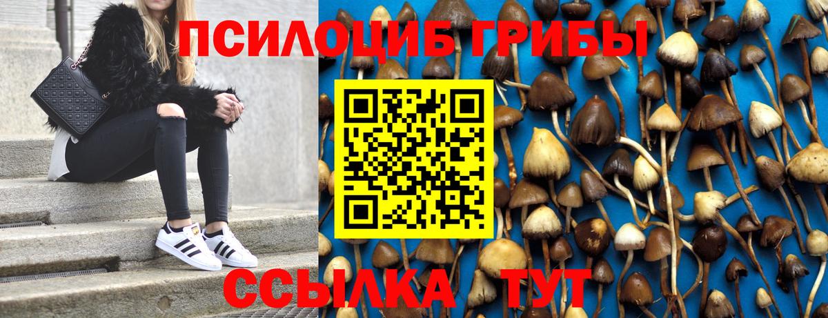 Псилоцибиновые грибы GOLDEN TEACHER  Вход с VPN  Шелехов 