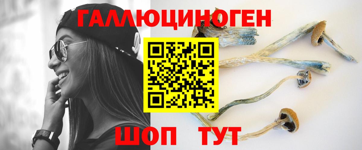 Псилоцибиновые грибы Psilocybine cubensis Шелехов